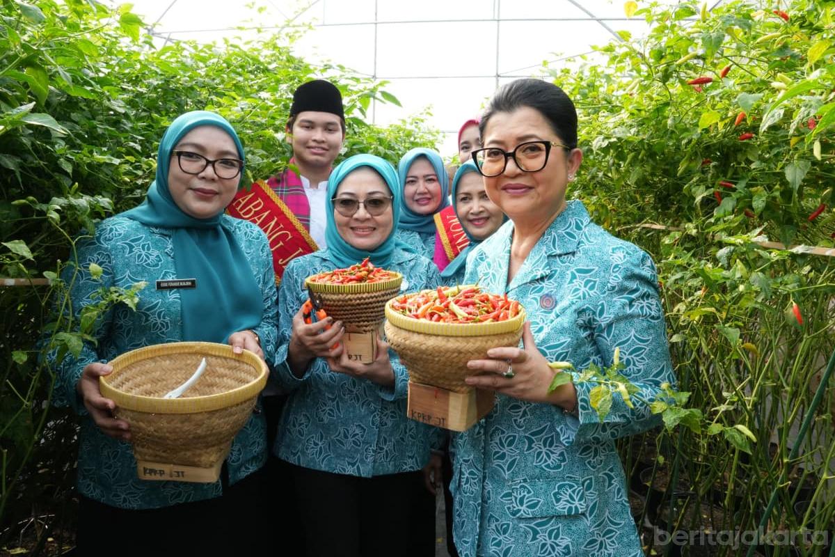 Panen serentak tp pkk nur