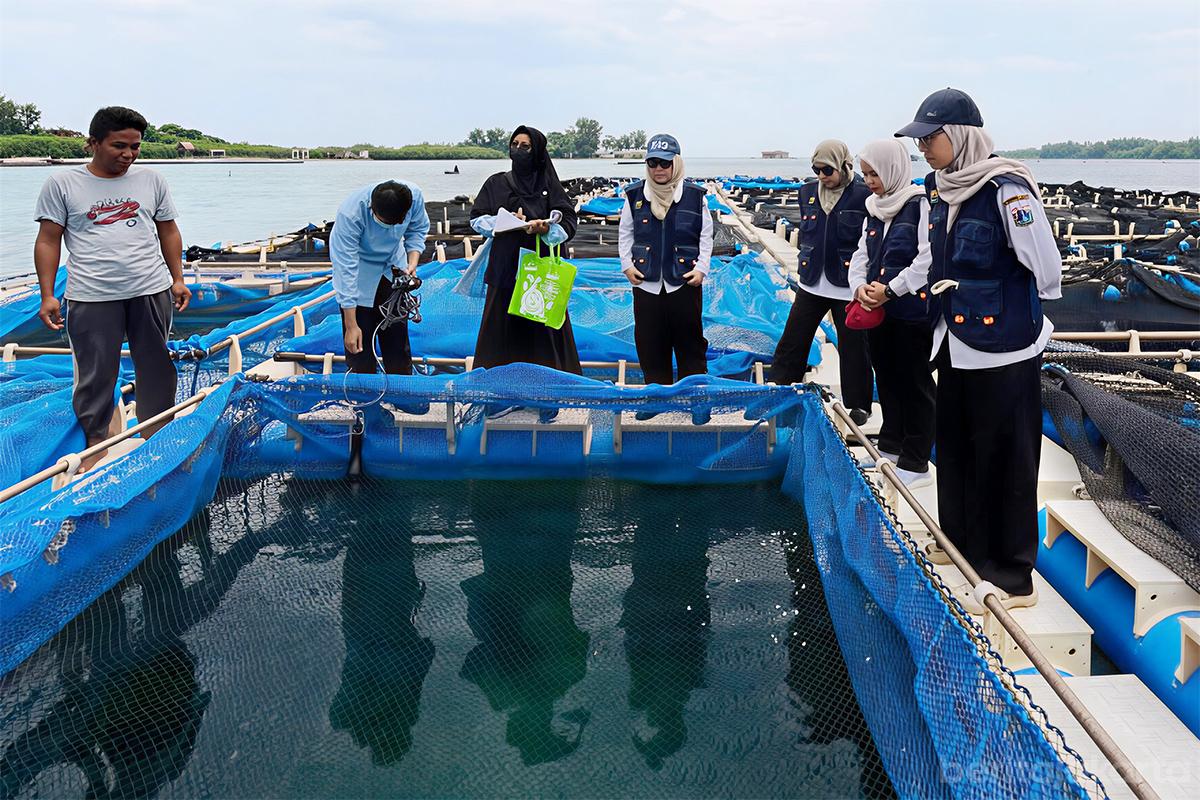 Kpkp monitoring ikan pulau budi