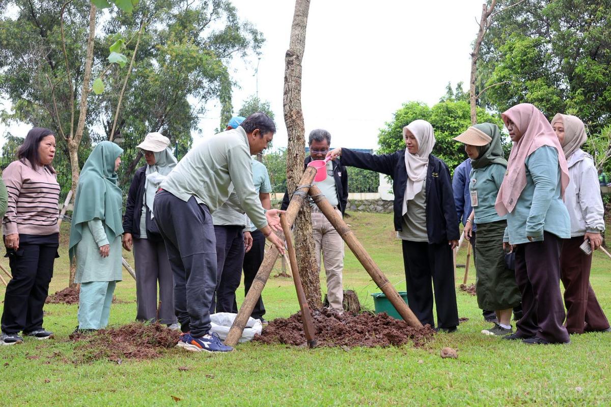 Pohon tabebuya viaduct nur