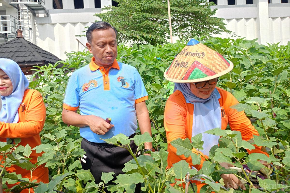 Munjirin Panen Melon di Poktan Geber Tabur Cipinang Melayu