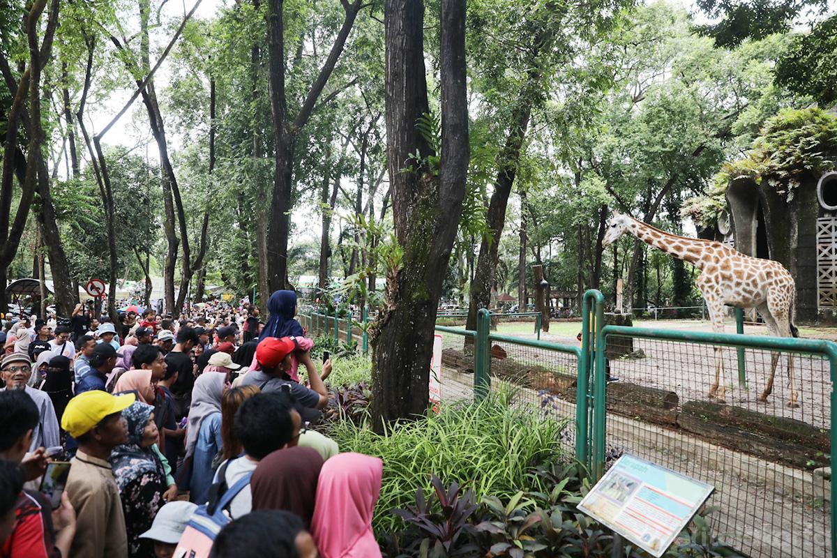 Tmr ragunan jati