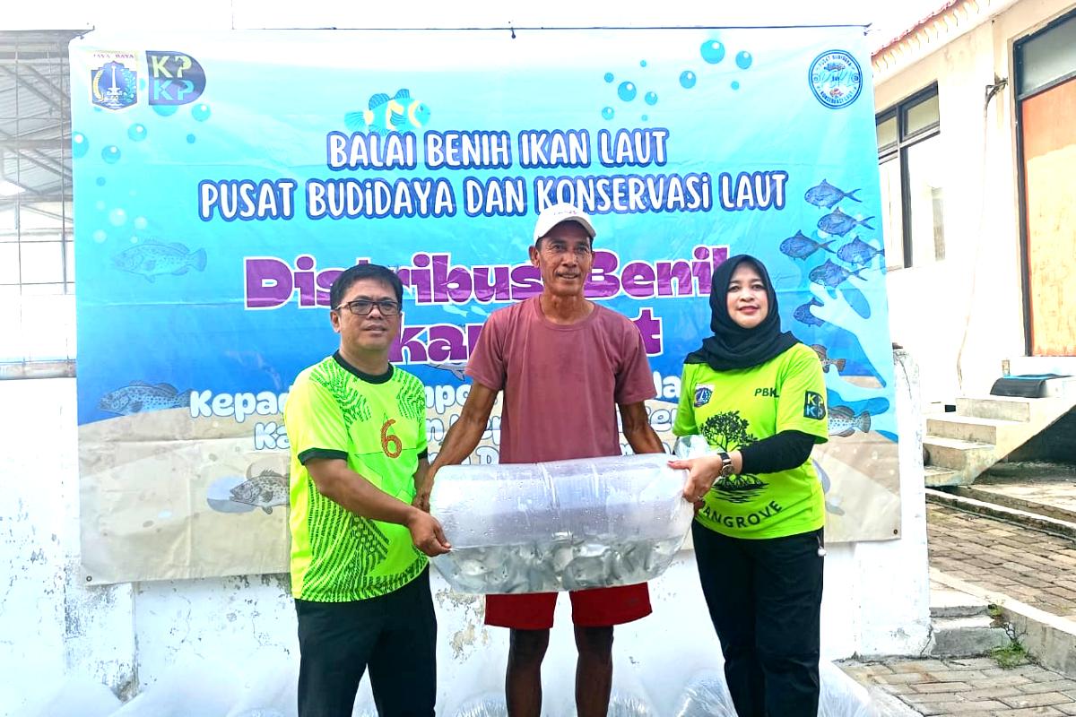 IMG 20260512 WA0151