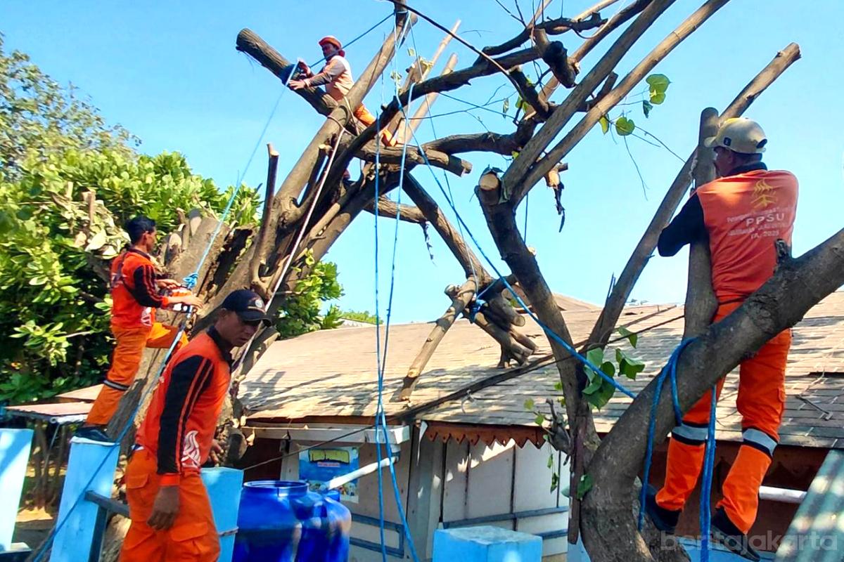 IMG 20260421 WA0078 (1)