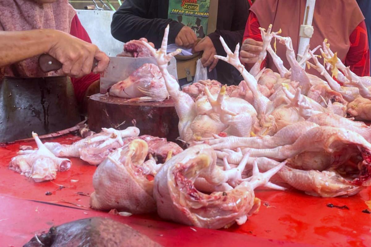 IMG 20260319 WA0004 (1)