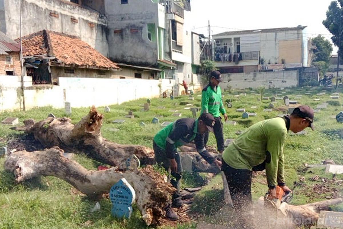 Pohon Tumbang TPU Prumpung nur