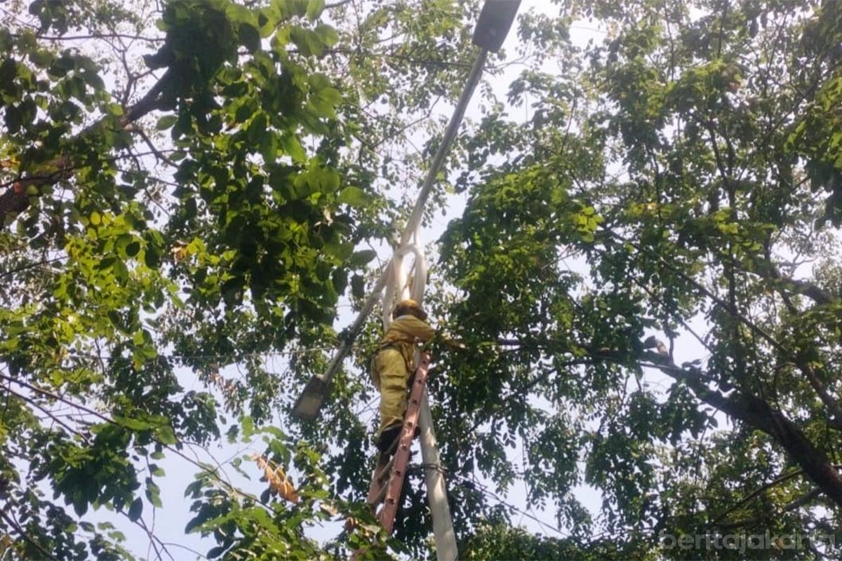 Perbaikan PJU Jalan Teuku Nyak Arief tiyo