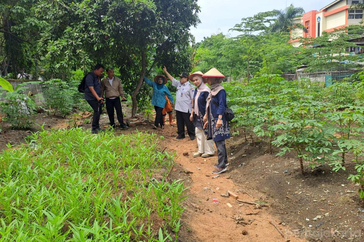 Lahan Kosong Disulap Jadi Urban Farming di Kebon Kosong