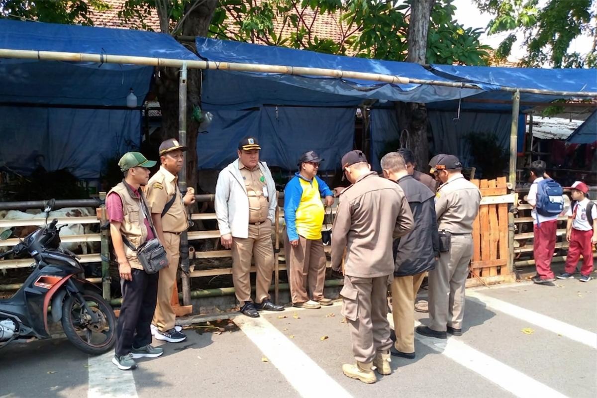 Lapak hewan kurban ist