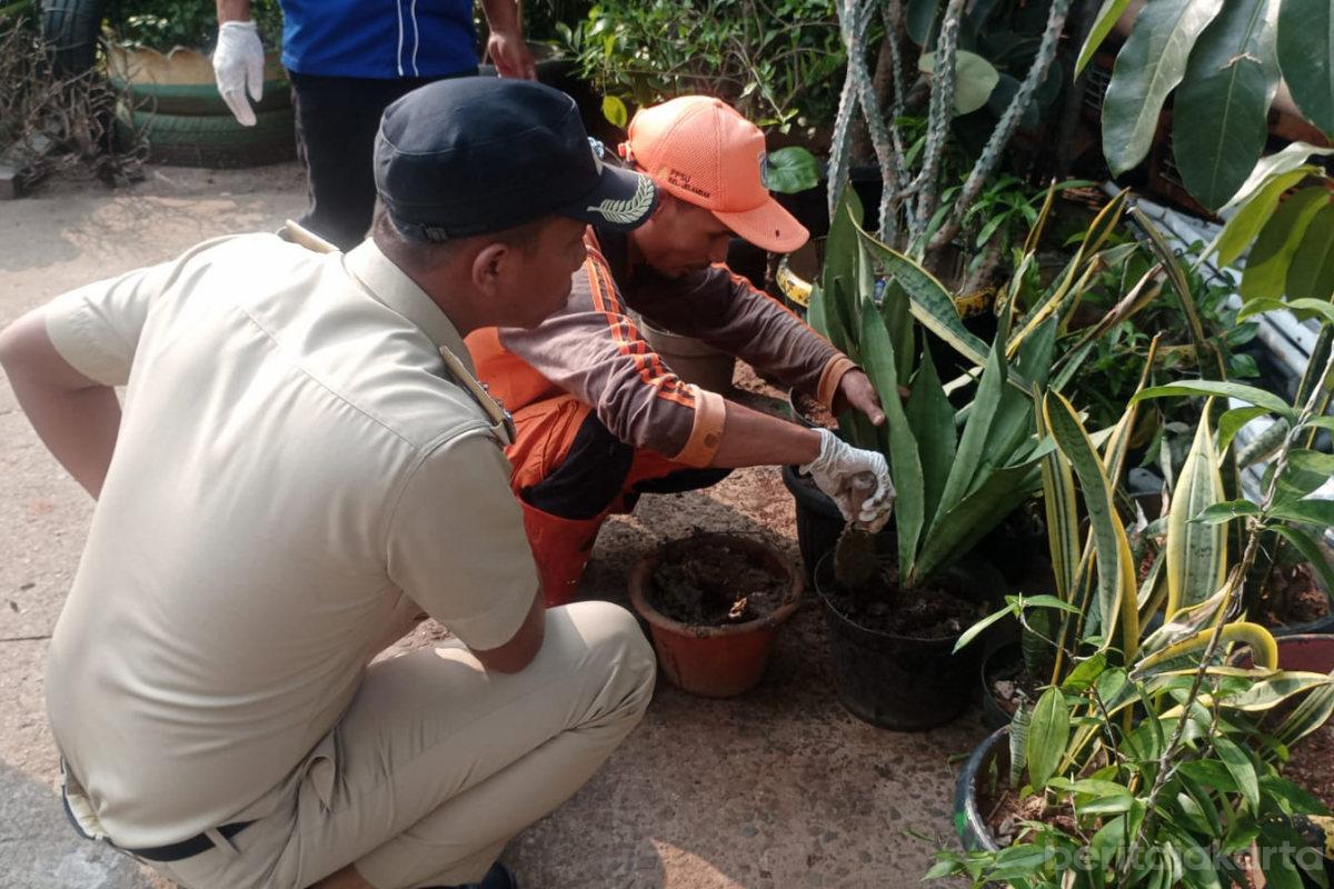 Pupuk biopori