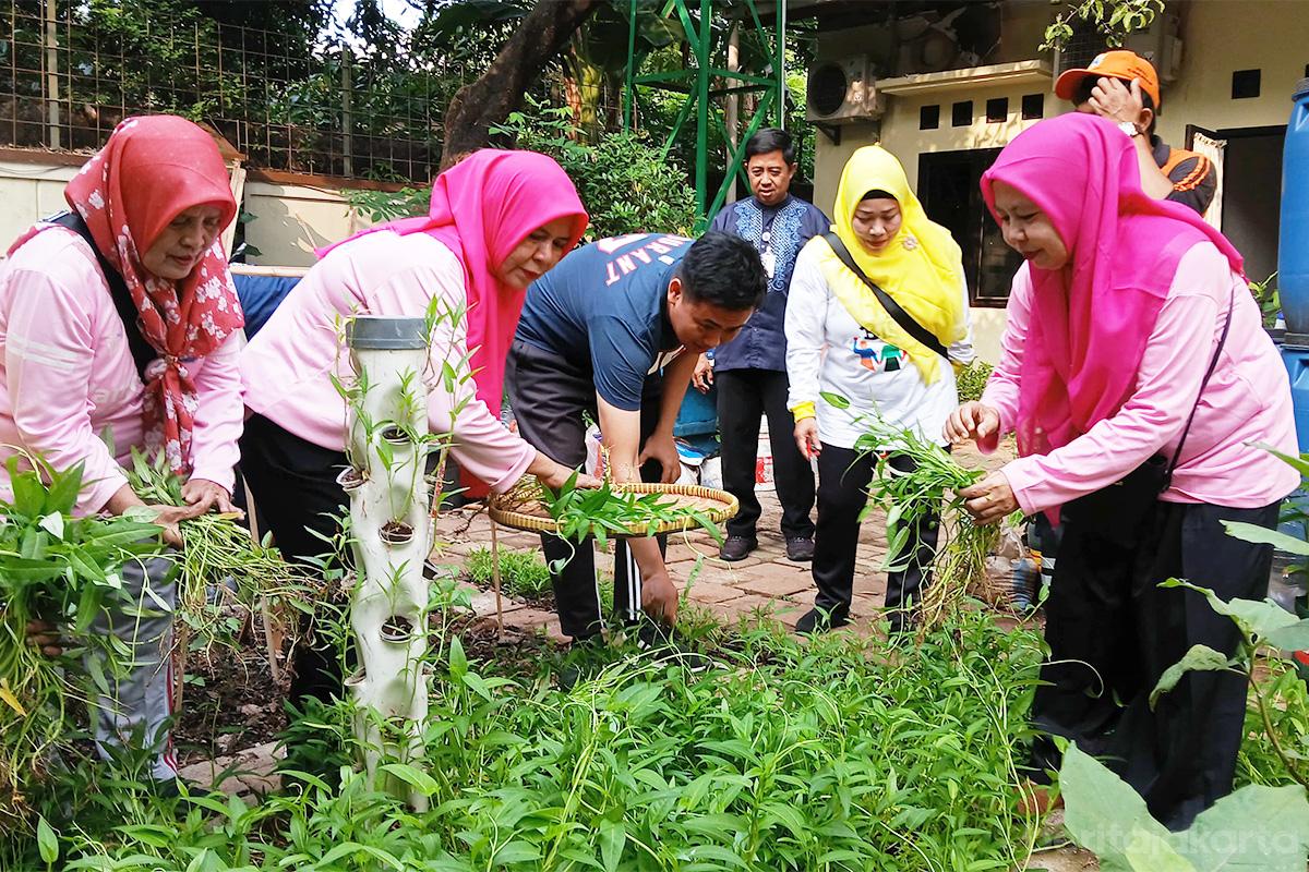 Urban Farming Kantor Lurah Tanjung Duren Selatan budi2