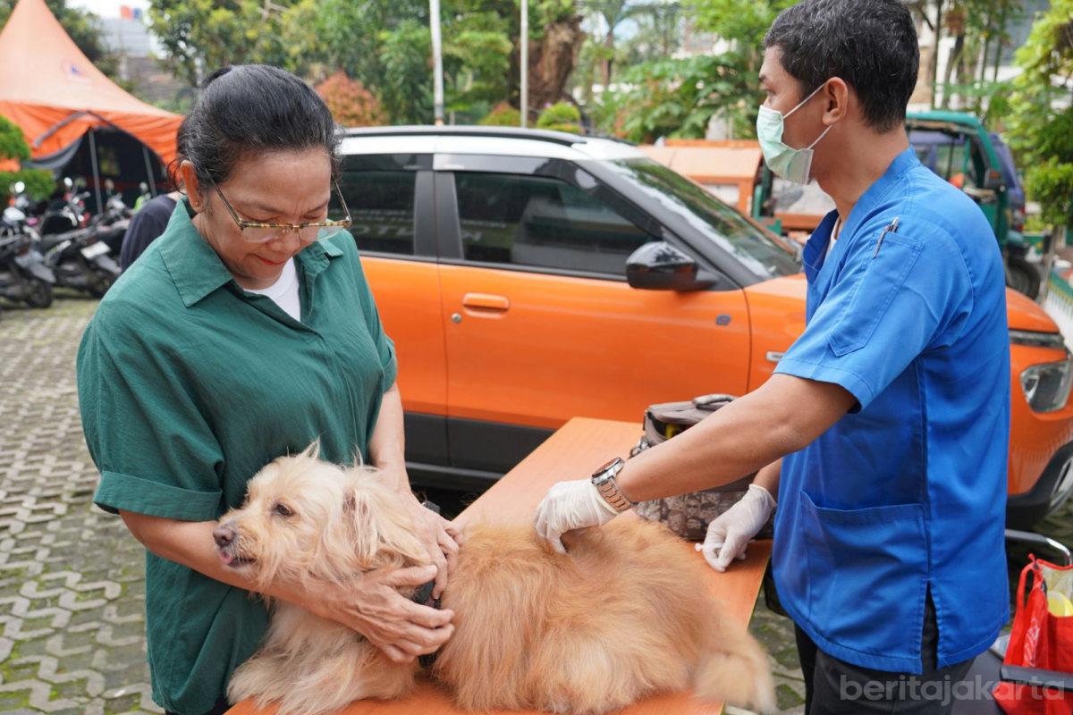 74 HPR di Kelurahan Guntur Divaksinasi Rabies