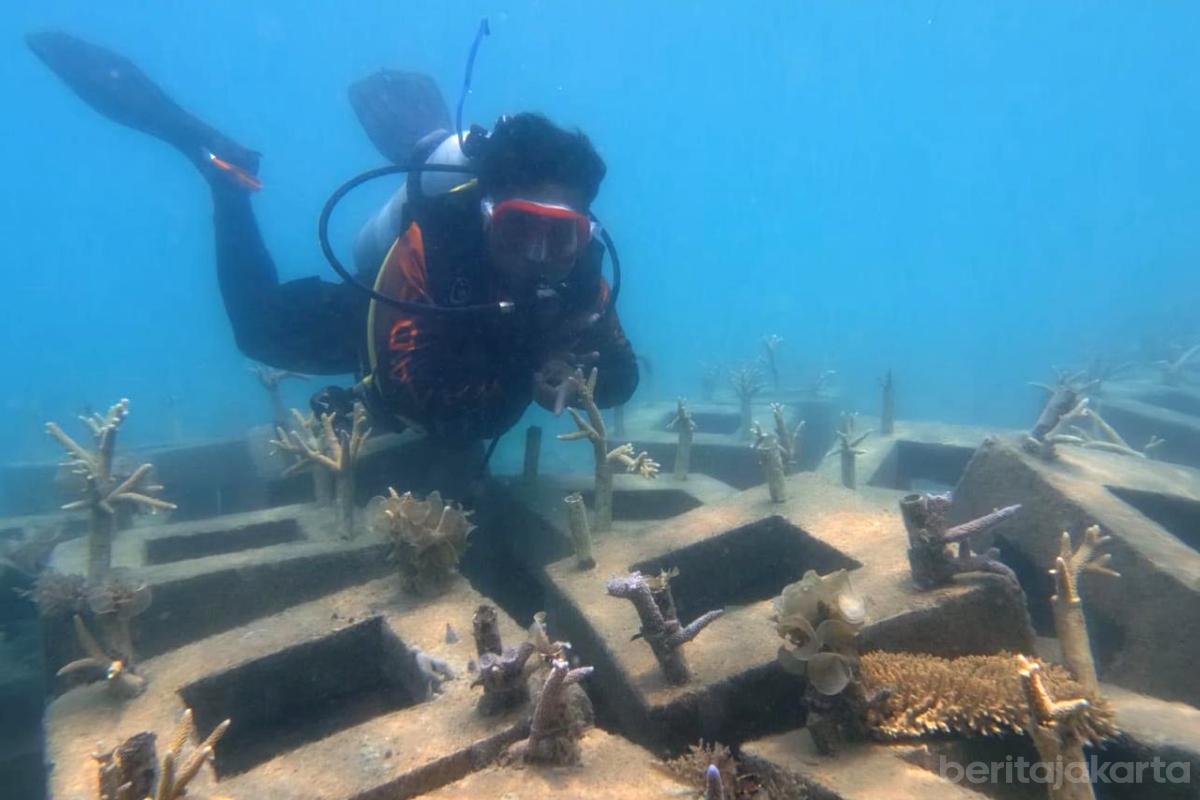 Monitoring terumbu karang anita