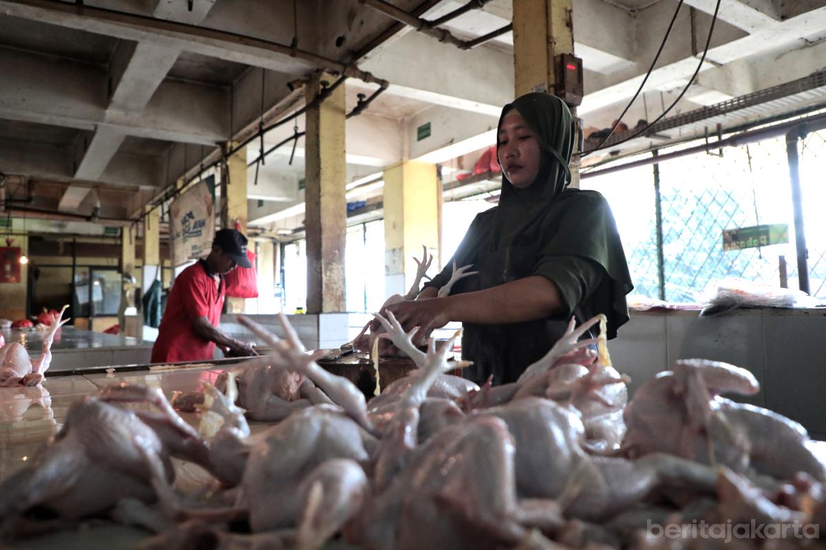 Stok Pangan Jakarta Aman otoy