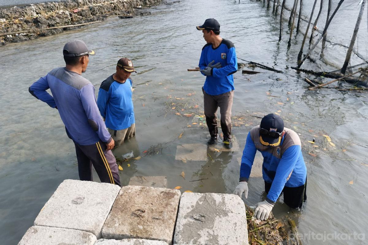Sudin SDA Perkuat Tanggul Pantai di Pulau Lancang