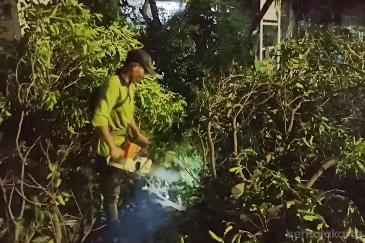 Empat Pohon Tumbang dan Sempal di Jaktim Berhasil Dievakuasi Satgas Hija