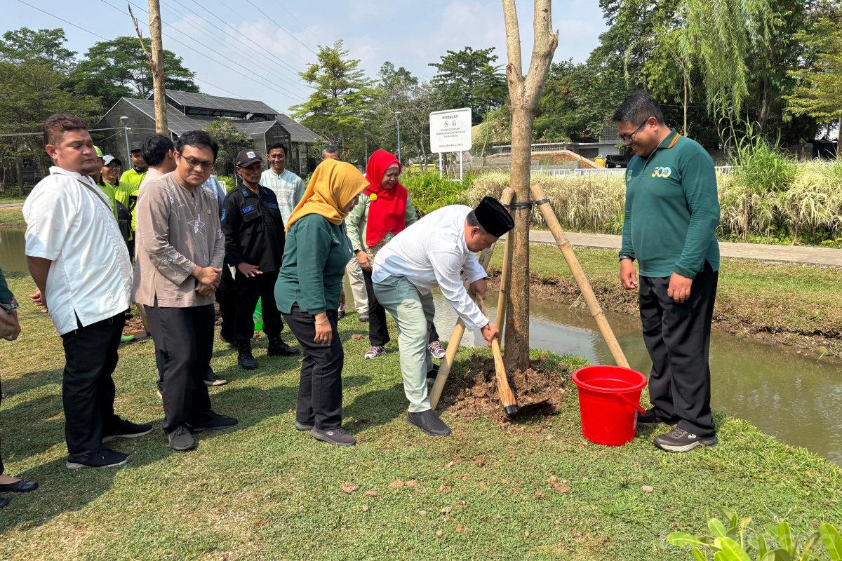 Jalur Hijau Jalan Adi Cipta Raya Cengkareng Ditanami 16 Pohon Tabebuya Pink