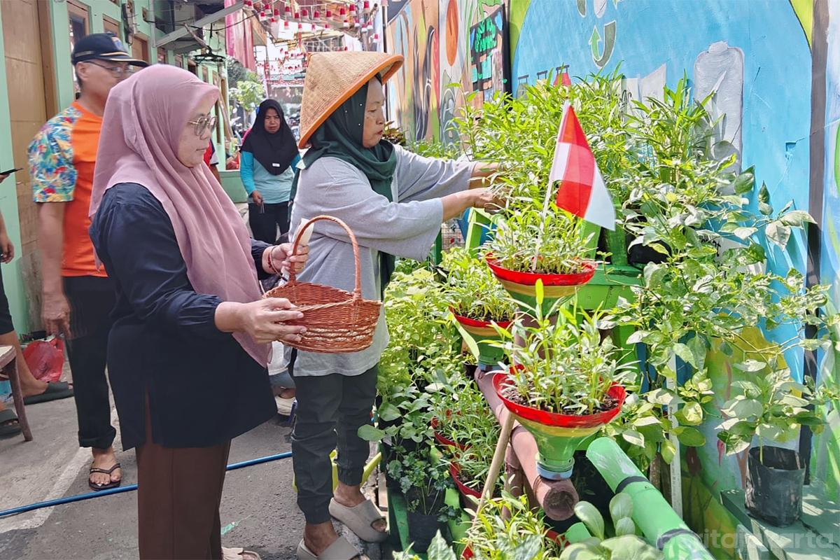 Gang hijau durensawit nur2
