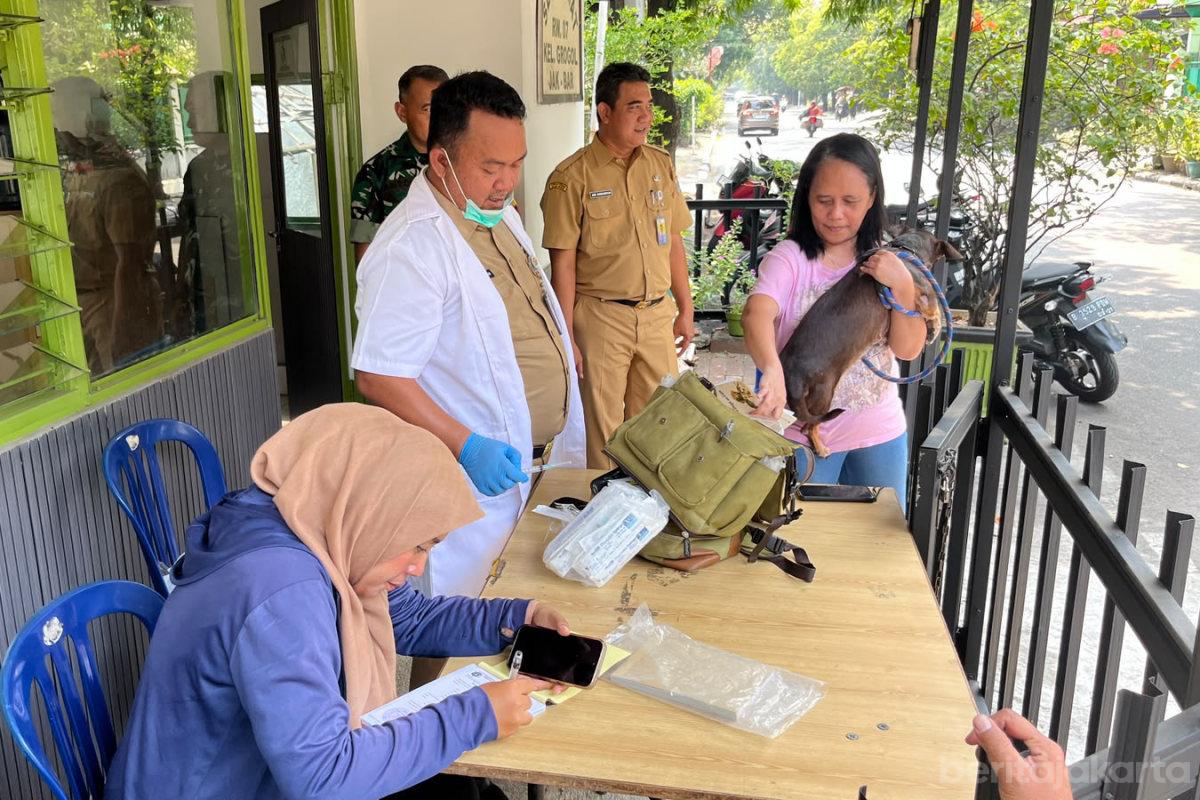 102 HPR di Jakbar Divaksinasi Rabies