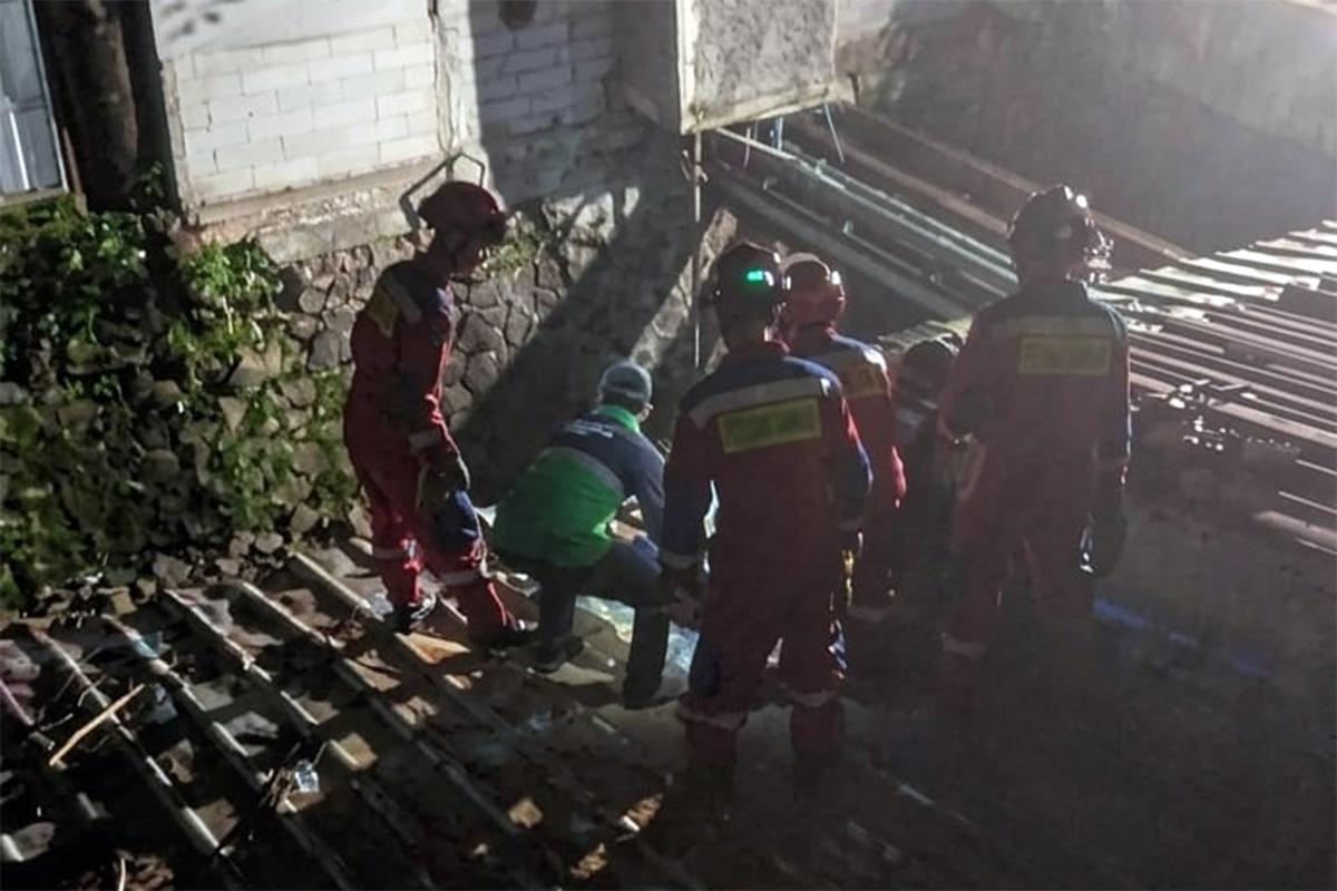 Pohon sempal jatim ist3