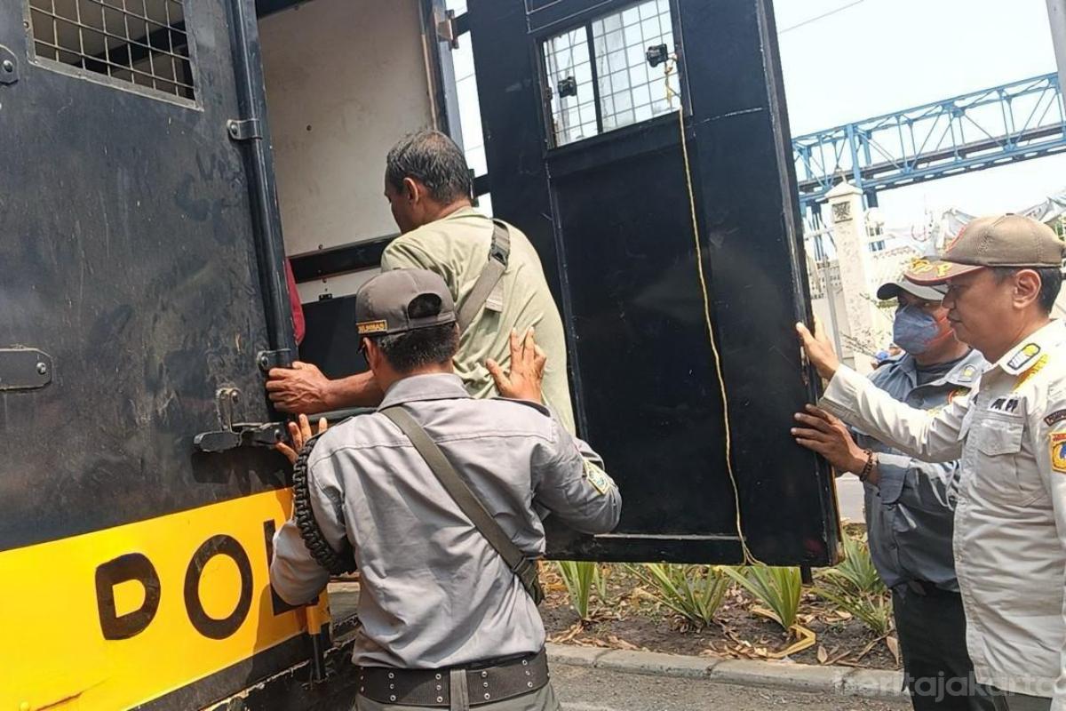 Petugas Jaring PPKS Penjaringan anita