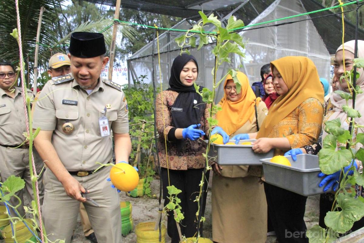 Panen Melon Golden RPTRA Tanjung Elang Berseri anita