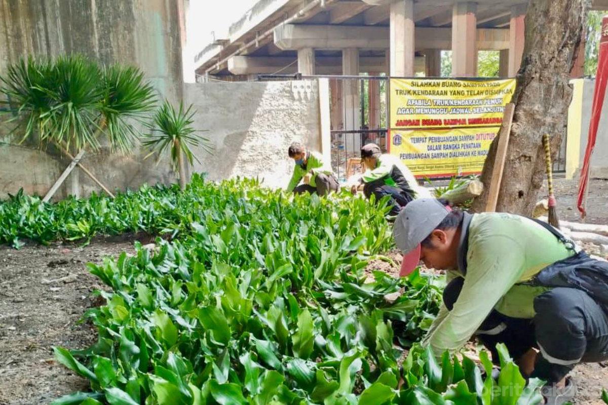 Kolong Tol Eks TPS Kencana Disulap Jadi Taman Hijau