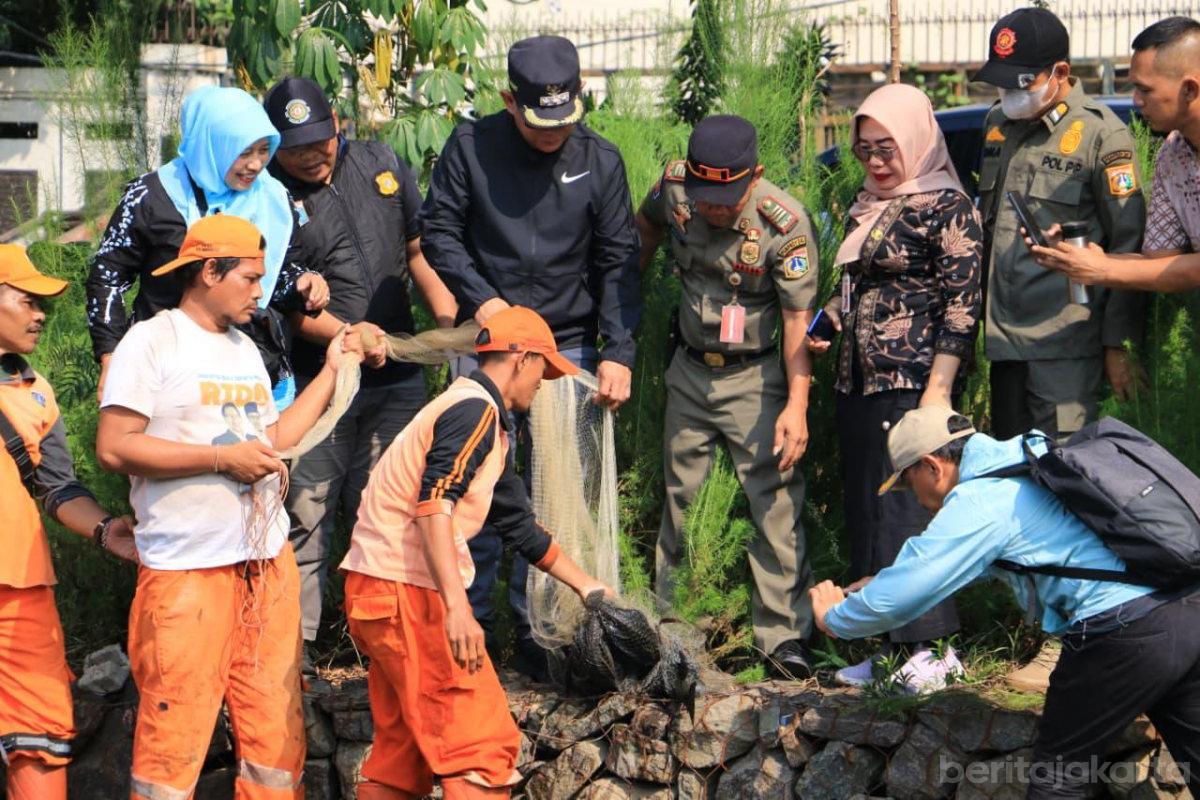 Ikan sapu2 danau sunter anita