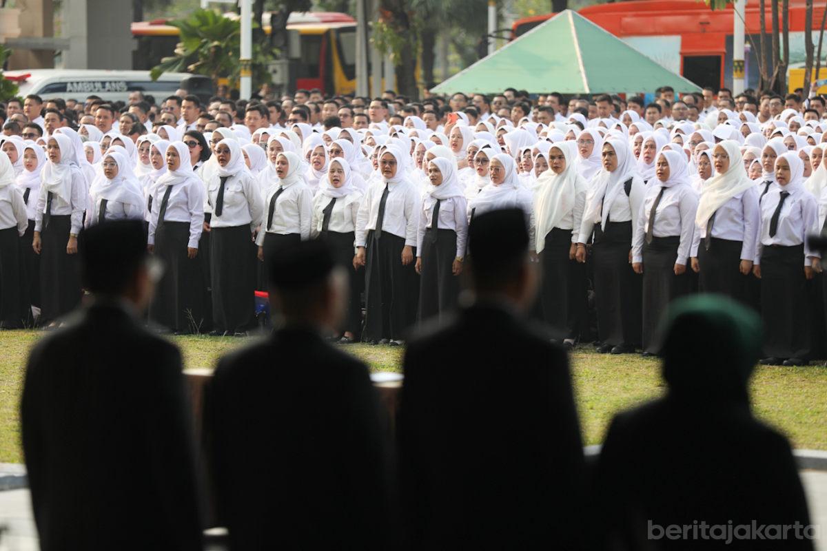 Pelantinkan p3k pemprov dki jakarta rezap