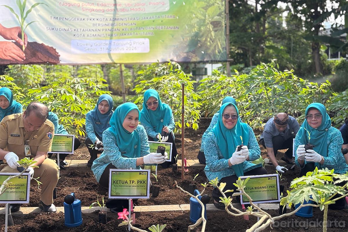 Tanam serentak tanaman pangan jakut anita2