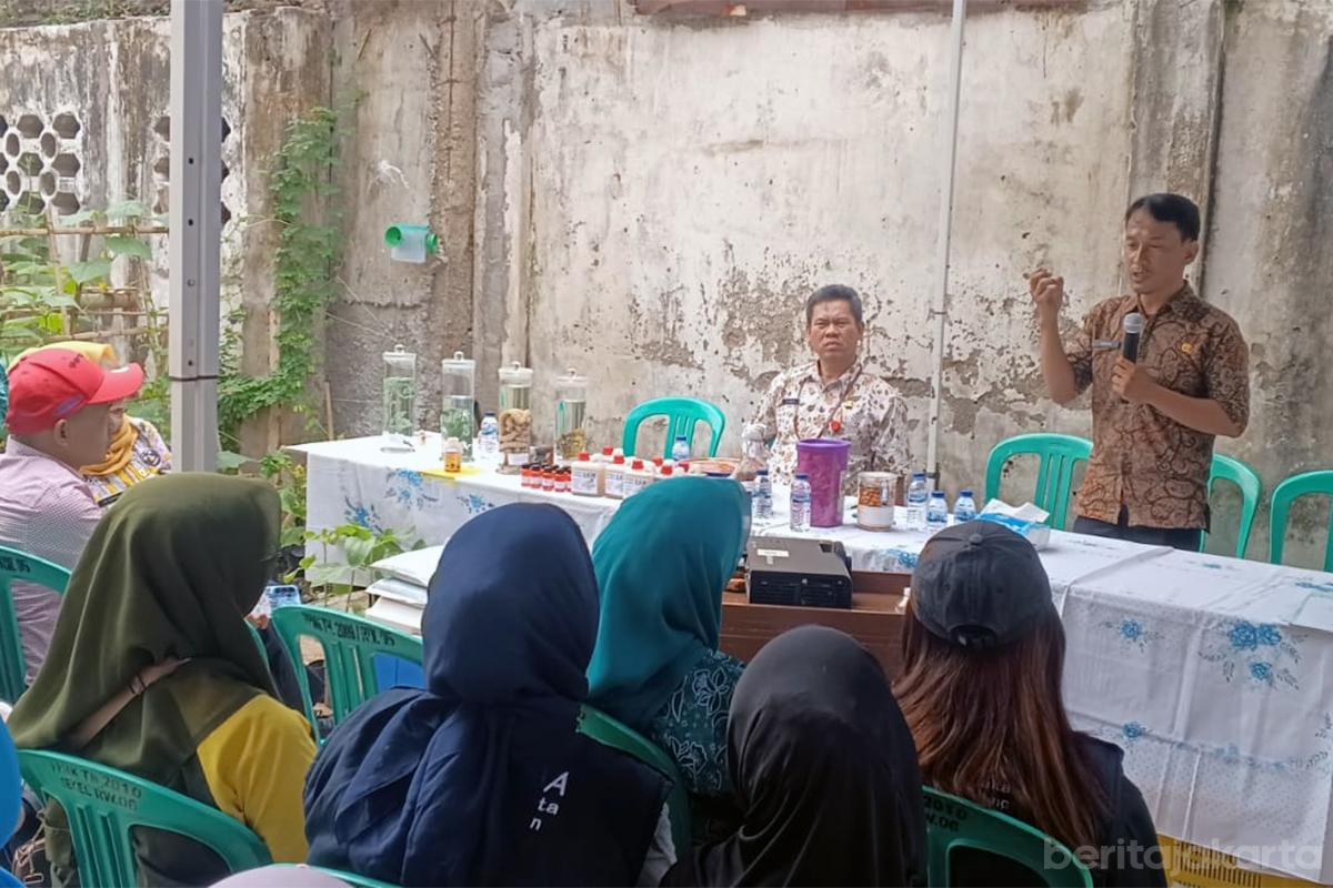 Sosialisasi Pengendalian Hama Tanaman tamansari budi