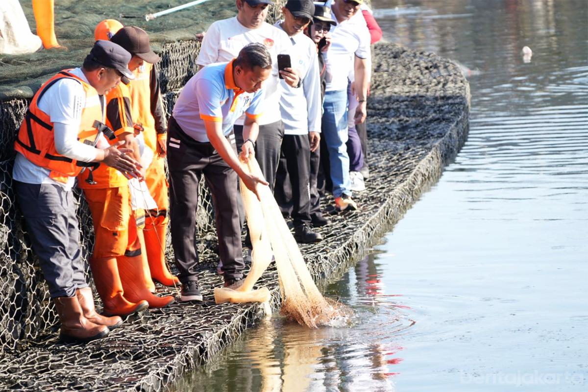 Munjirin operasi ikan sapusapu jaktim nur