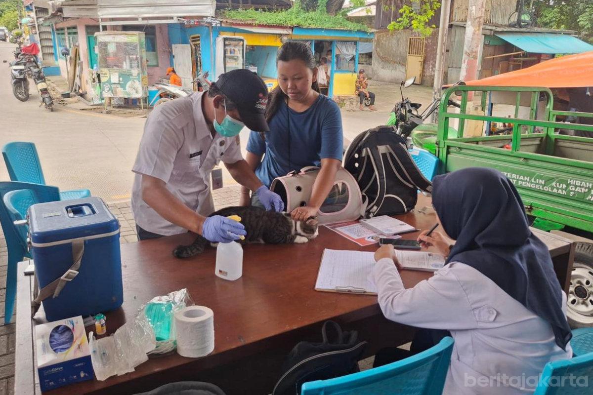 Hpr dikelurahan ancol anita