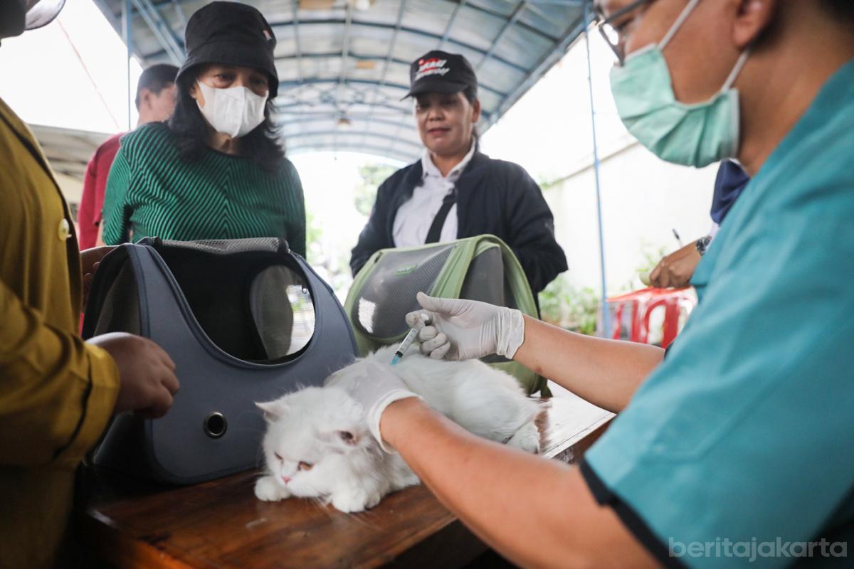Vaksin rabies hewan jaktim