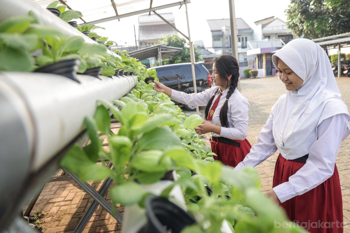 Melihat Urban Farming bilal