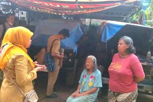 Sudin KPKP Jaksel Minta Pemilik Anjing Jaga Hewan Peliharaan di Ruang ...