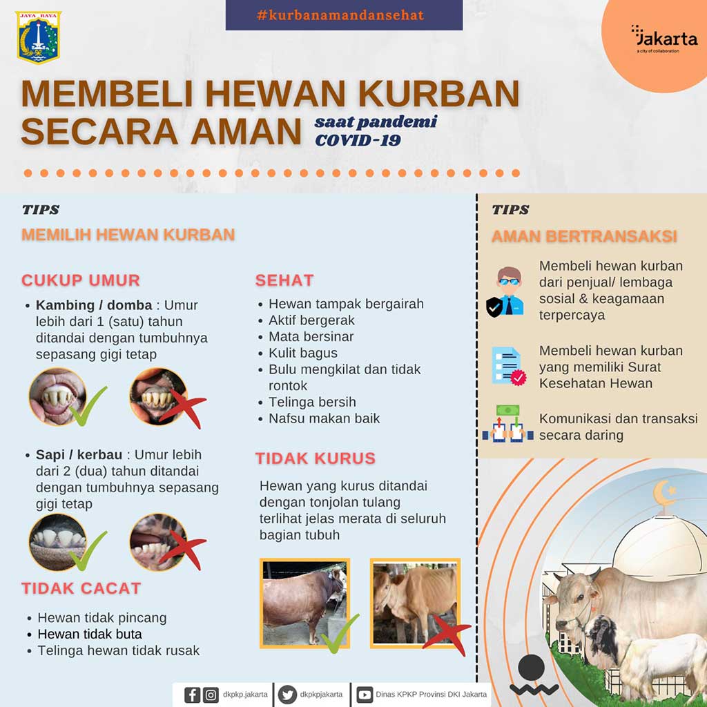 Tips Jual Beli Kurban - Slide 6.jpg
