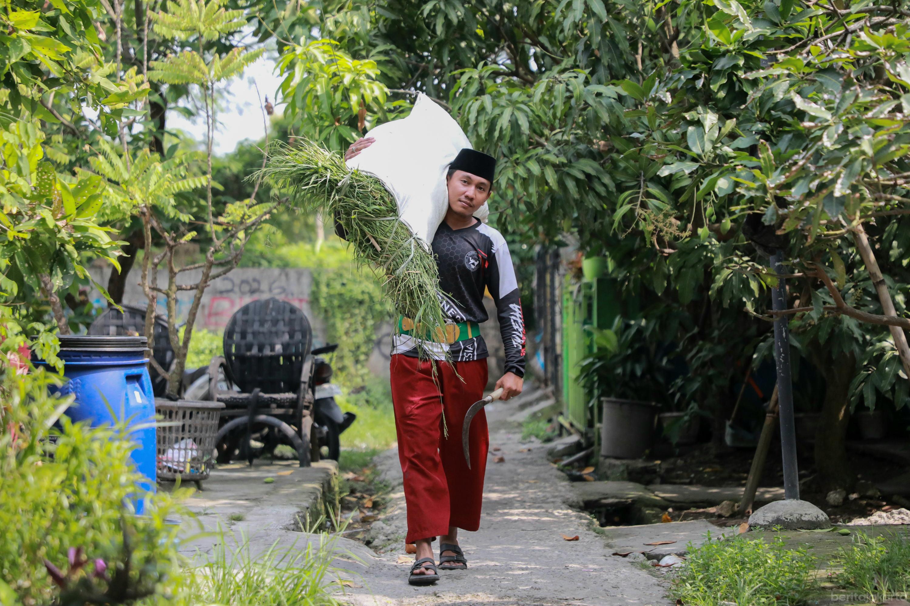 Paras Kota - Beritajakarta