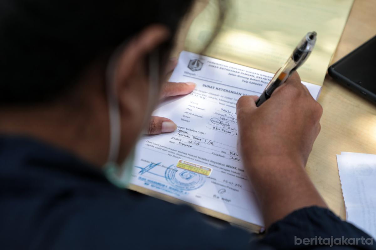 6.782 HPR Berhasil Divaksinasi Sudin KPKP Jaksel Selama Januari 2026