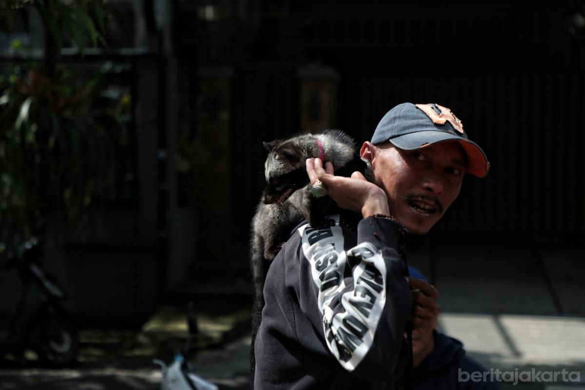 7.782 HPR Berhasil Divaksinasi Sudin KPKP Jaksel Selama Januari 2026