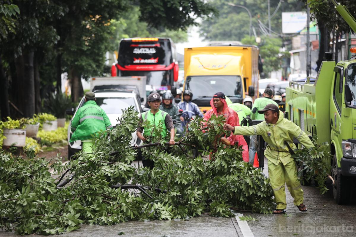 Toping Pohon Ceger 2