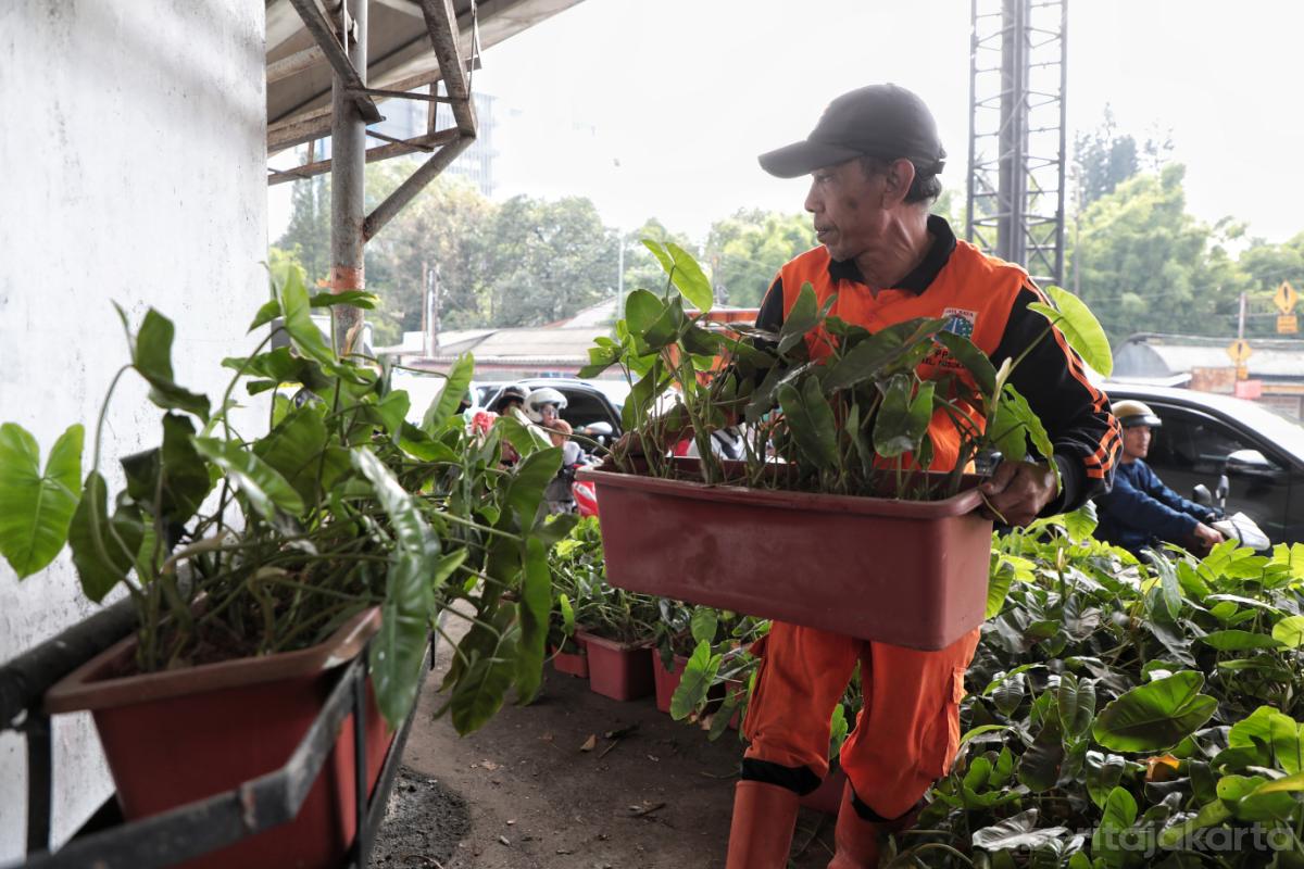 8.PPSU Susukan Percantik Kolong Flyover Pasar Rebo