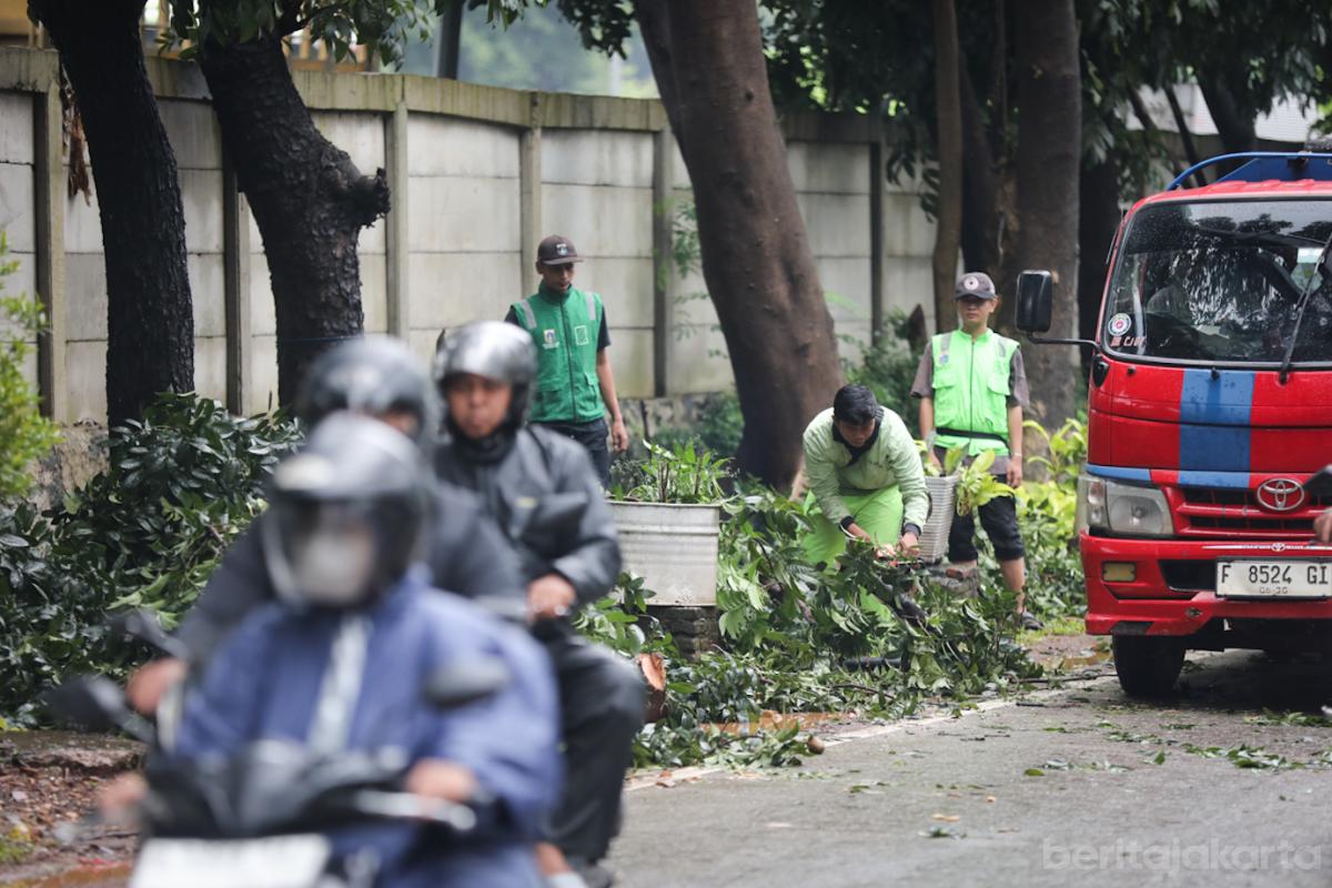 Toping Pohon Ceger 6