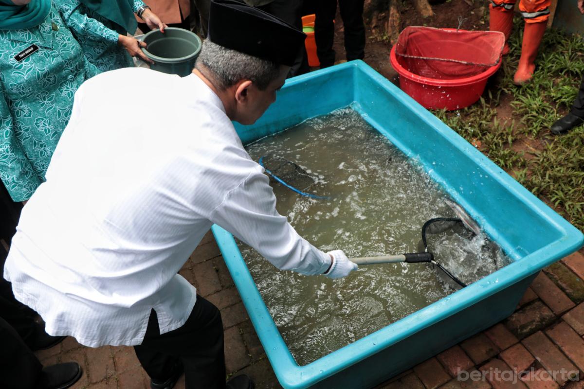 9.Tanam Cabai Serentak Jakarta Selatan