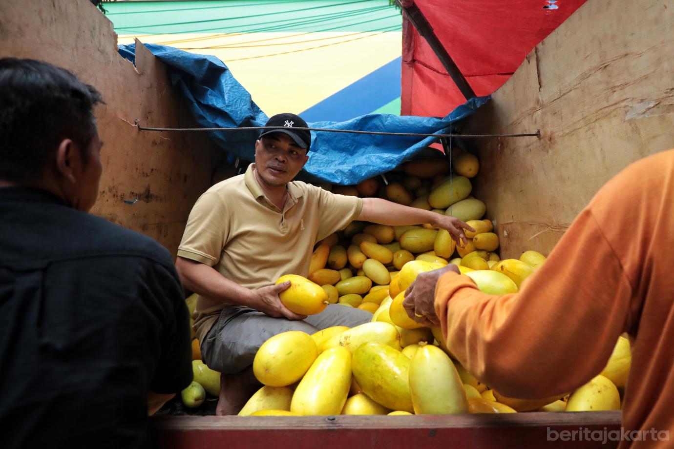3.Penjualan Timun Suri Meningkat di Awal Ramadan