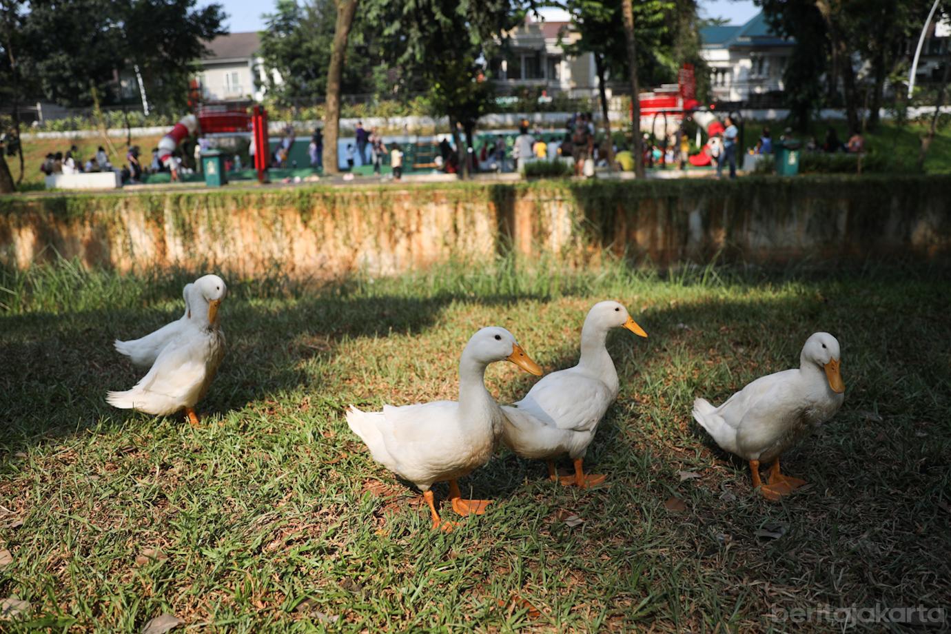 Taman Bendera Pusaka 4 (1)
