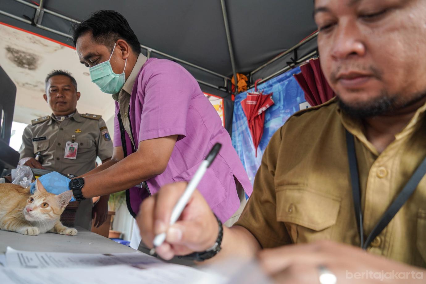 4 Sudin KPKP Gelar Vaksinasi Rabies Gratis di Kelurahan Jembatan Lima 4