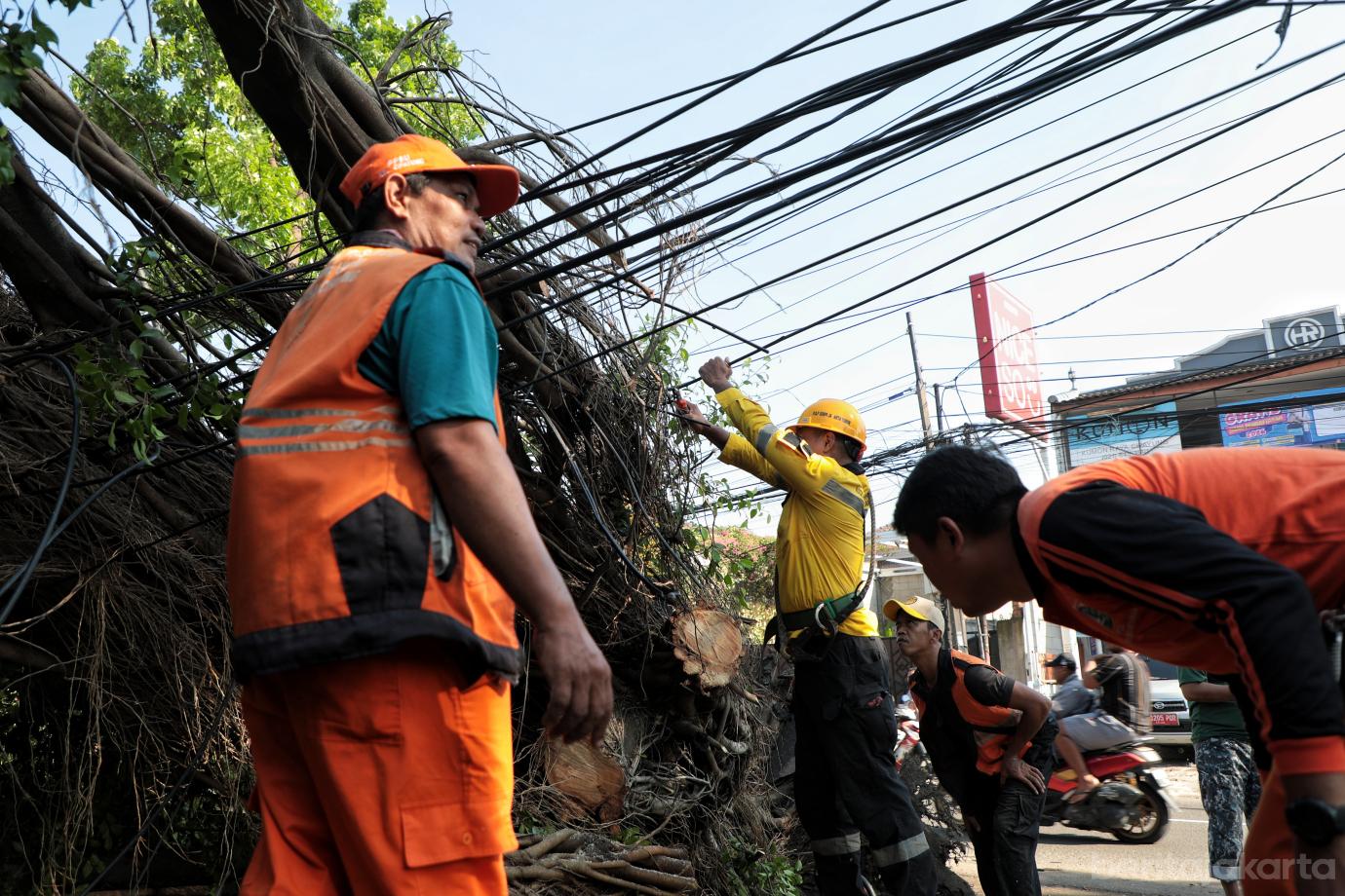 7.Penanganan Pohon Tumbang di Cipayung