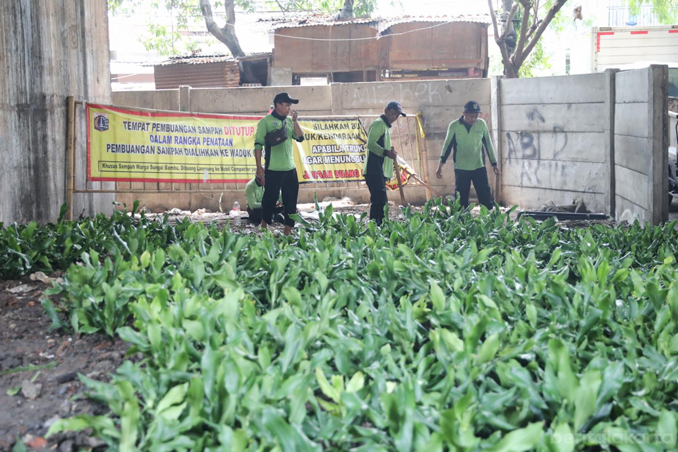 Penataan TPS Ilegal 6