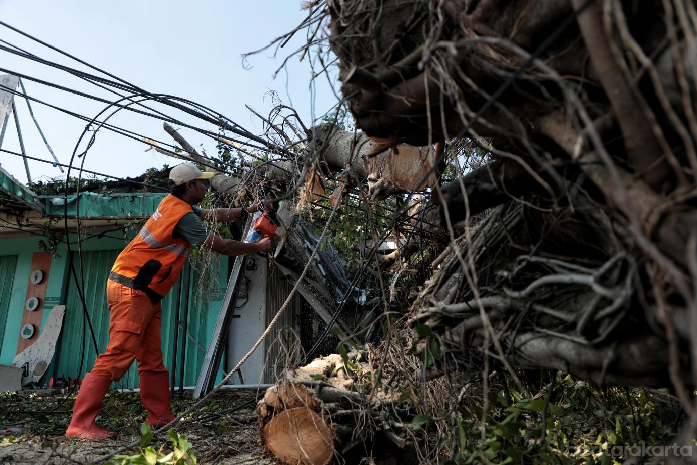 4.Penanganan Pohon Tumbang di Cipayung