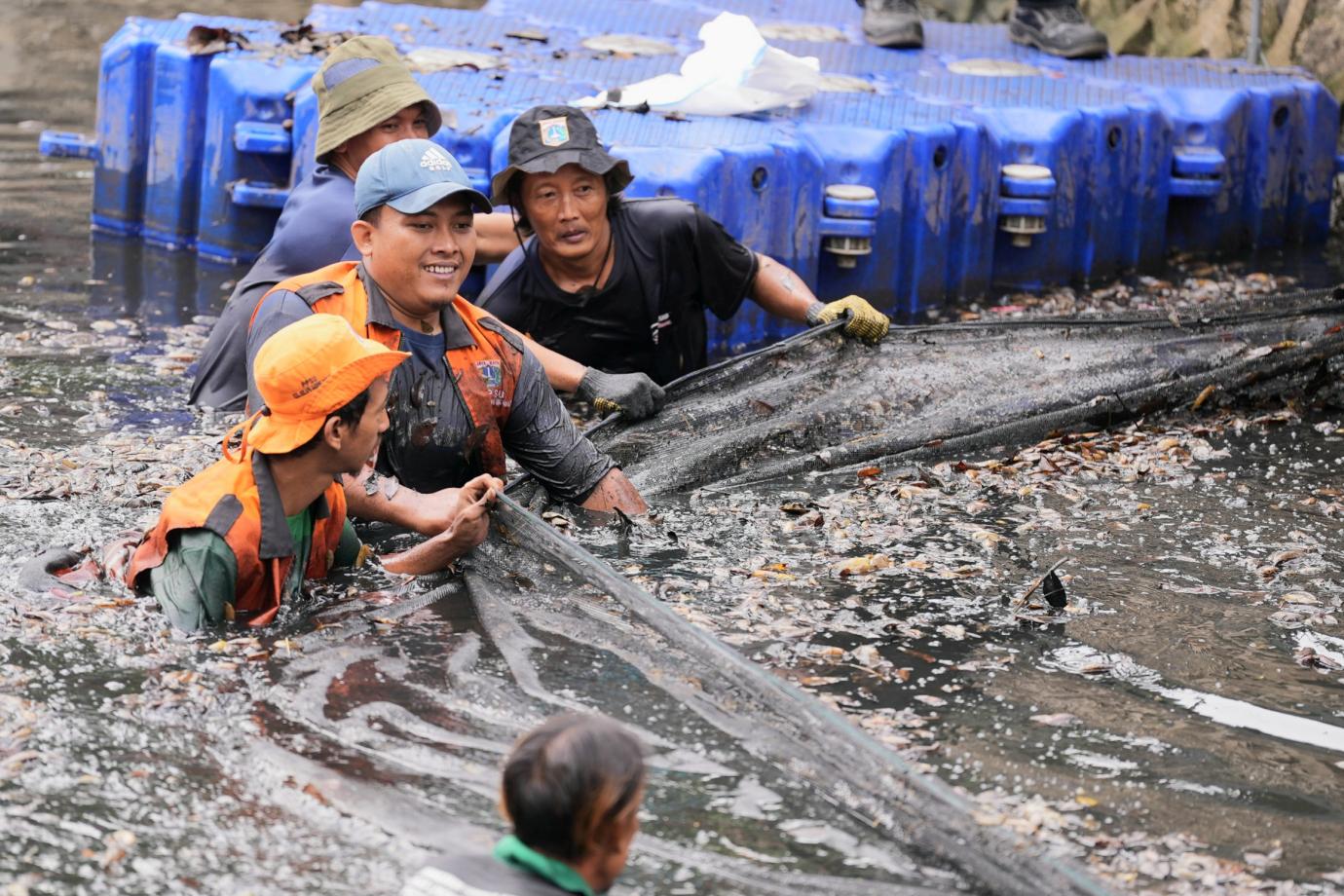 Pramono Tinjau Gerakan Tangkap Ikan Sapu-sapu di Kelapa Gading